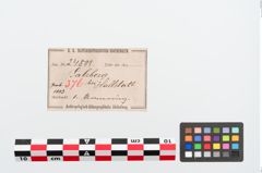Etiketten zu Bronzearmring (NHMW-PRAE-024805)